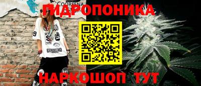 ПСИЛОЦИБИНОВЫЕ ГРИБЫ Изобильный